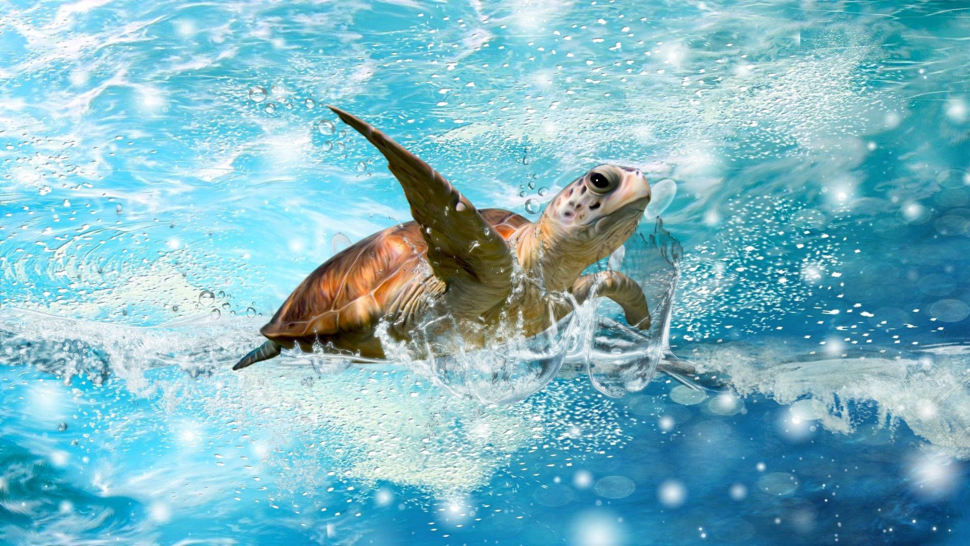 A turtle swimming in the ocean with water splashing around it - Sea turtle, turtle