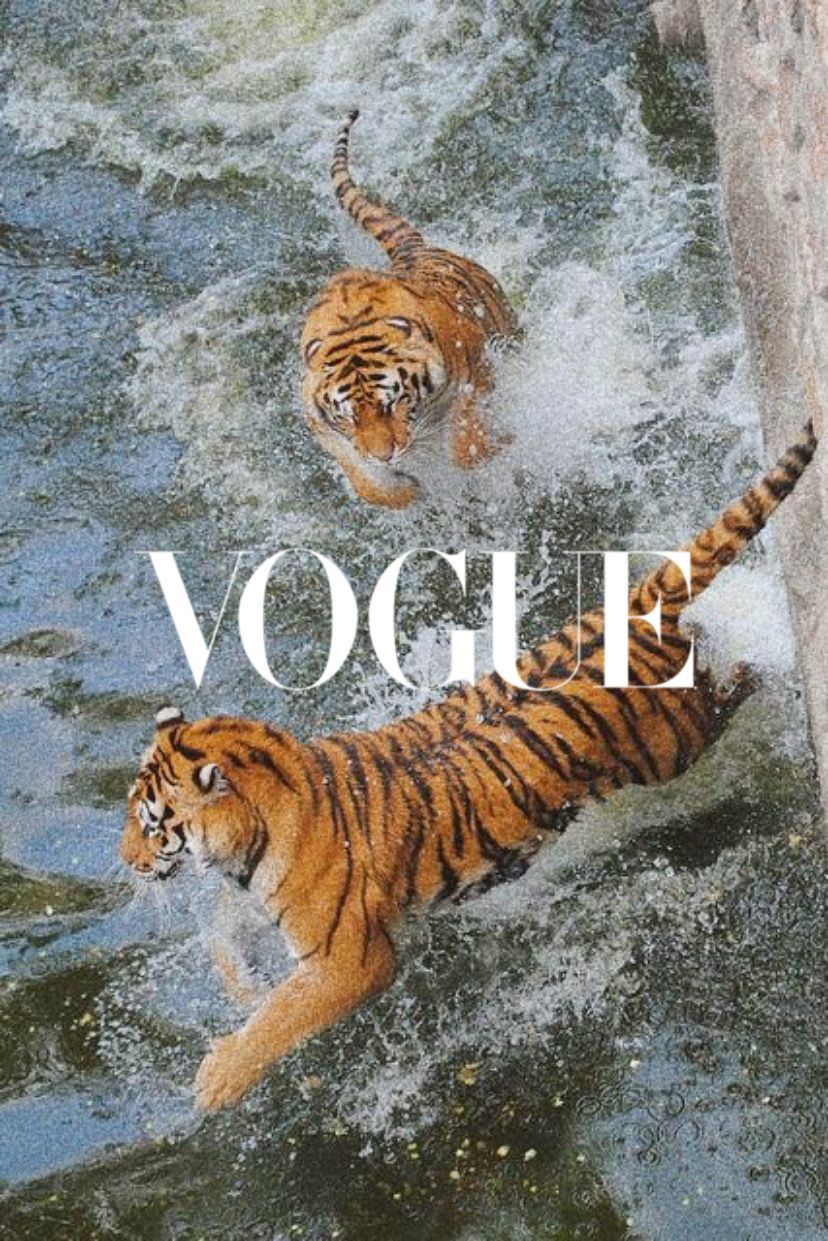 tiger x vogue. Picture collage wall, Art collage wall, Photo wall collage