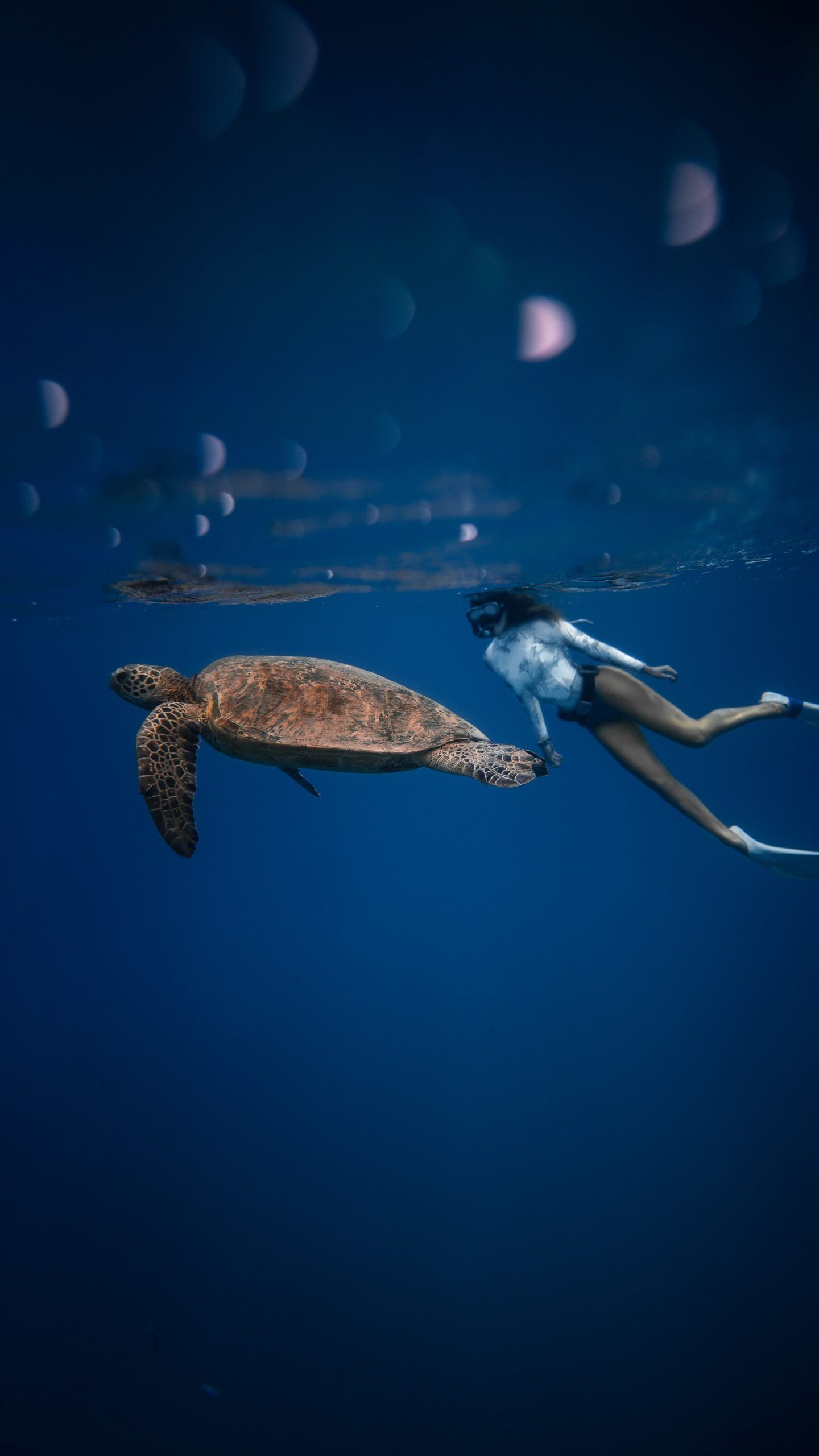 A woman swimming with a turtle in the ocean - Sea turtle