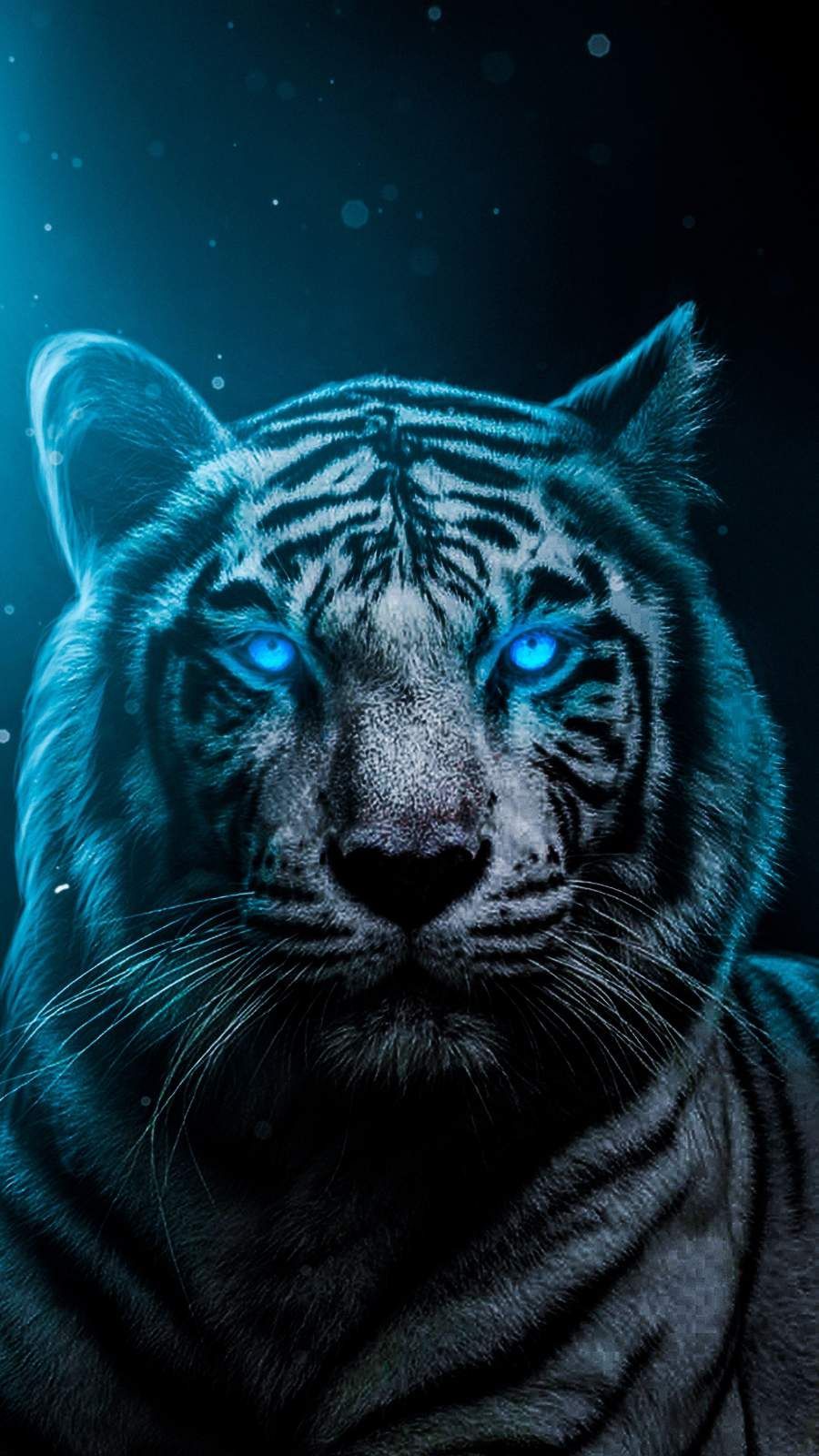 A white tiger with blue eyes - Tiger