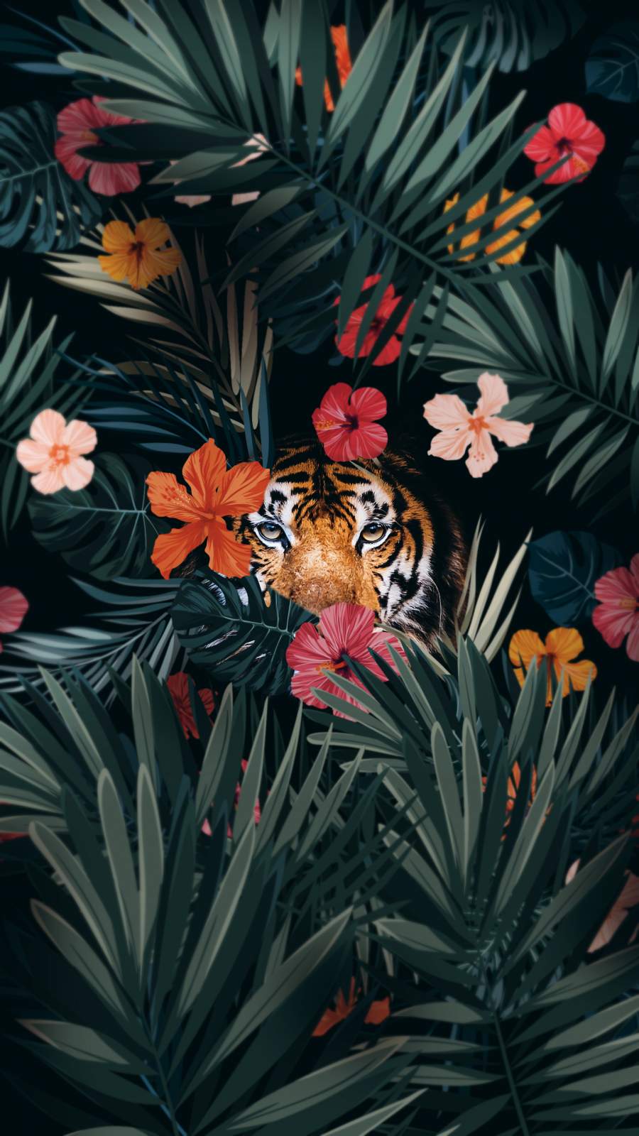 Tiger Hiding IPhone Wallpaper Wallpaper : iPhone Wallpaper
