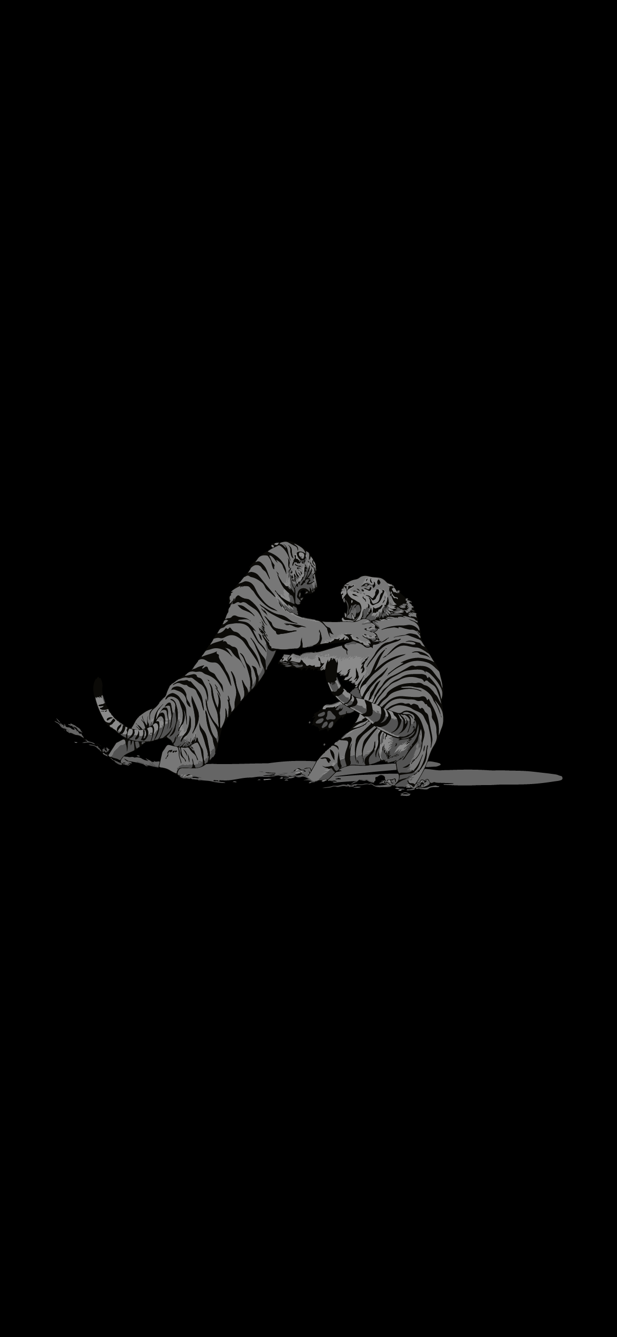 Two tigers fighting on a black background - Tiger