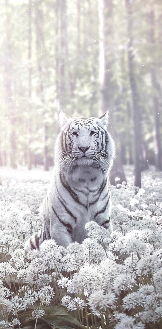 A tiger is sitting in the middle of some flowers - Tiger