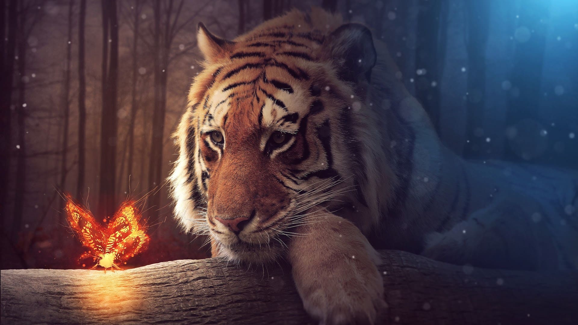 A tiger sitting on the ground with fire in front of it - Tiger