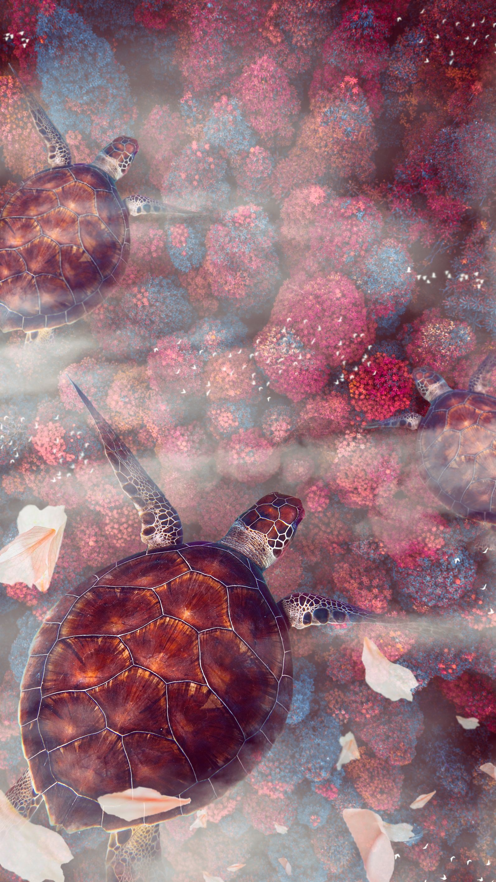 A turtle swimming in a body of water with pink and blue flowers. - Sea turtle, turtle