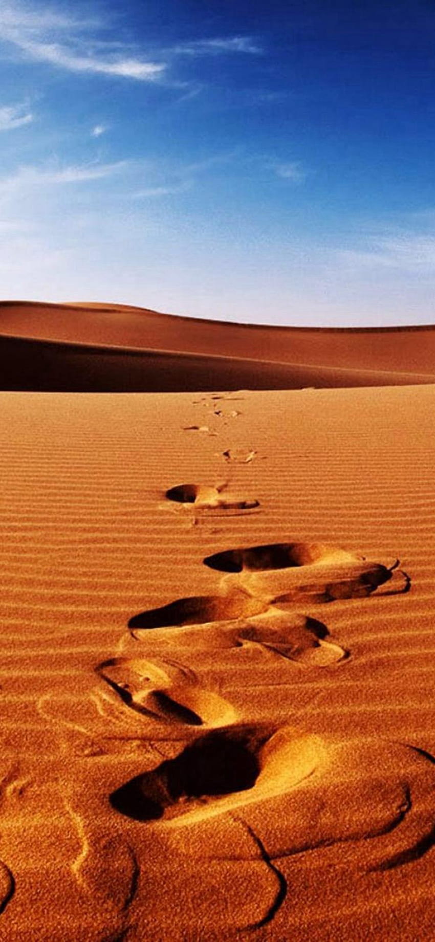 A person walking in the desert with footprints - Desert