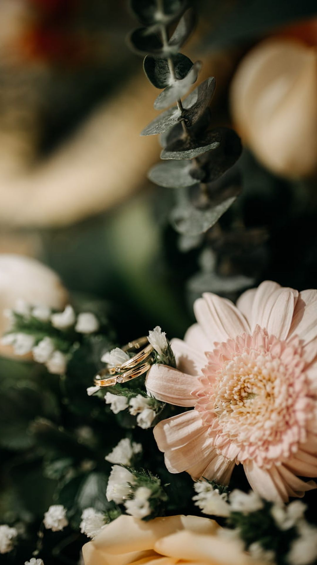 A pair of wedding rings on a pink flower - Wedding