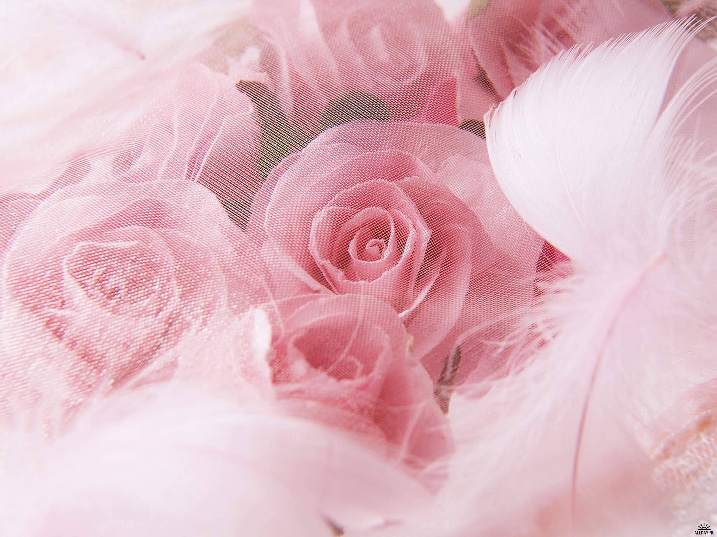 Pink roses, feathers, and tulle - Wedding