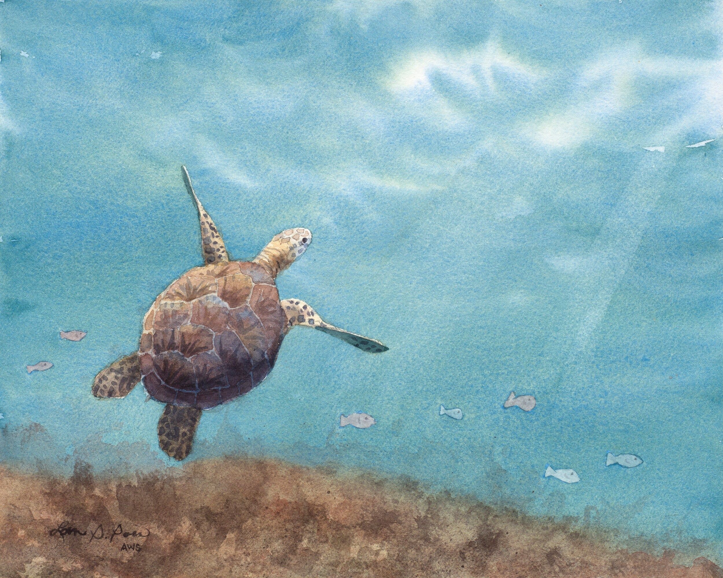 Original Watercolor Painting of a Sea Turtle Swimming With