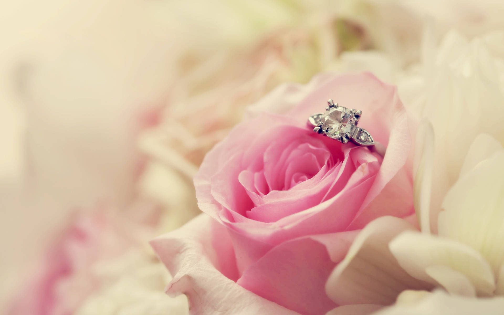 A close up of an engagement ring on top - Wedding