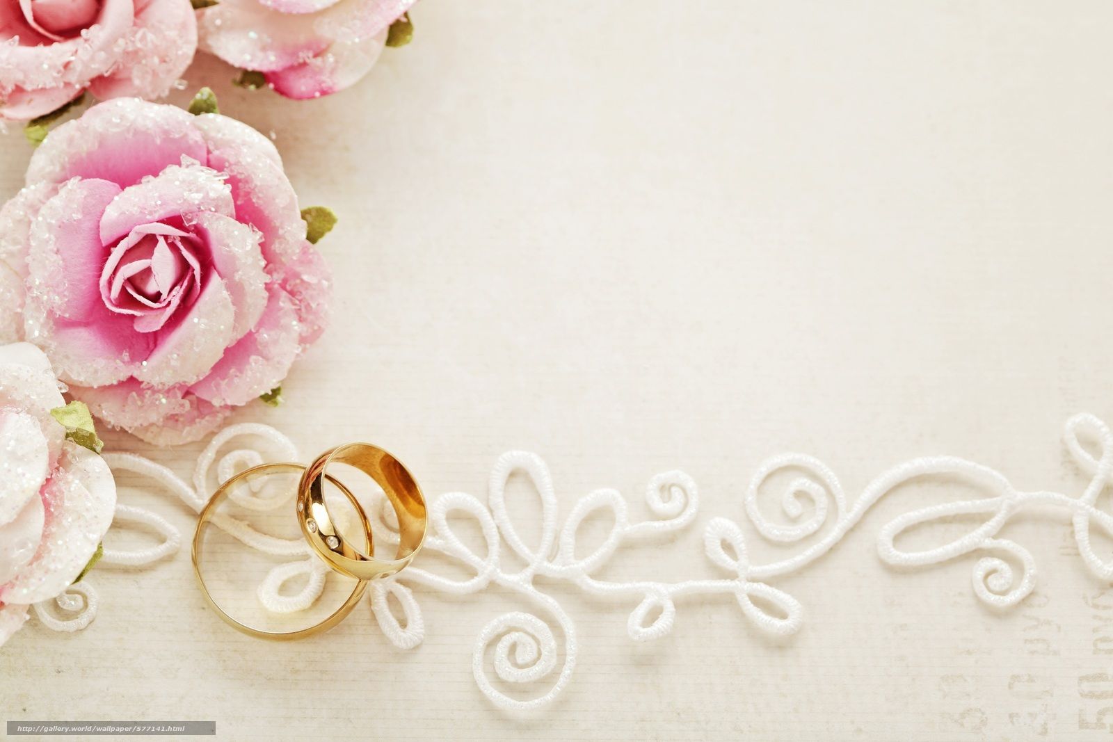 Two gold wedding rings on a white background - Wedding