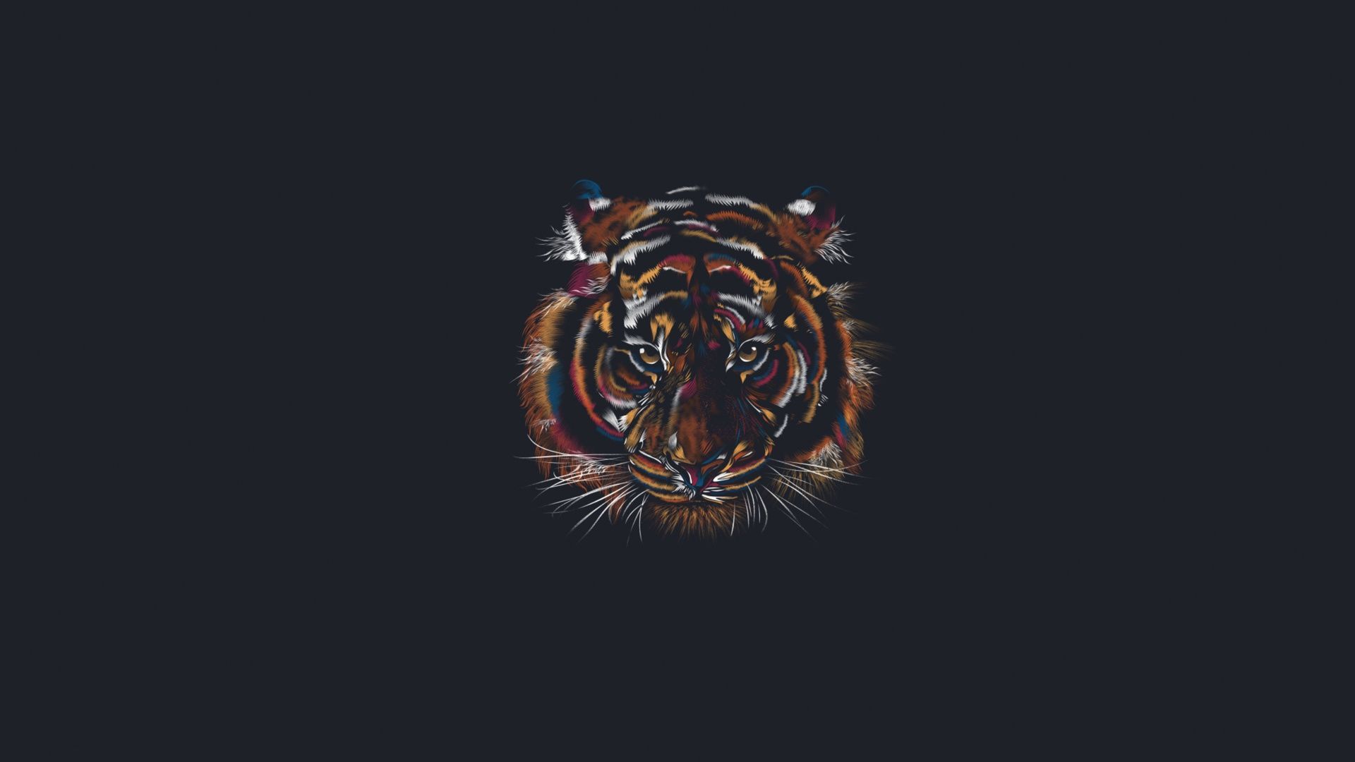 Tiger Minimalist Wallpaper Free Tiger Minimalist Background