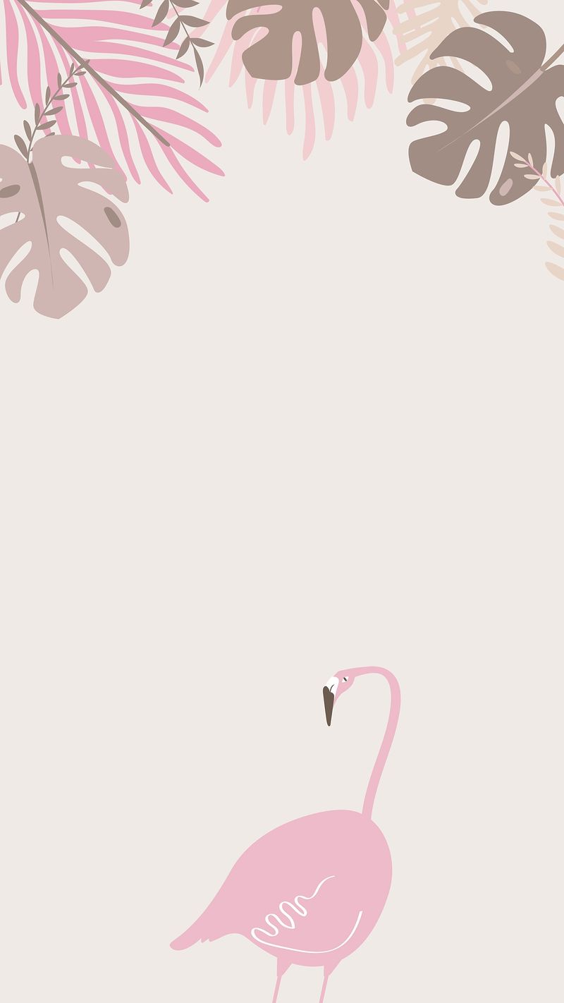 Flamingo Wallpaper Image Wallpaper