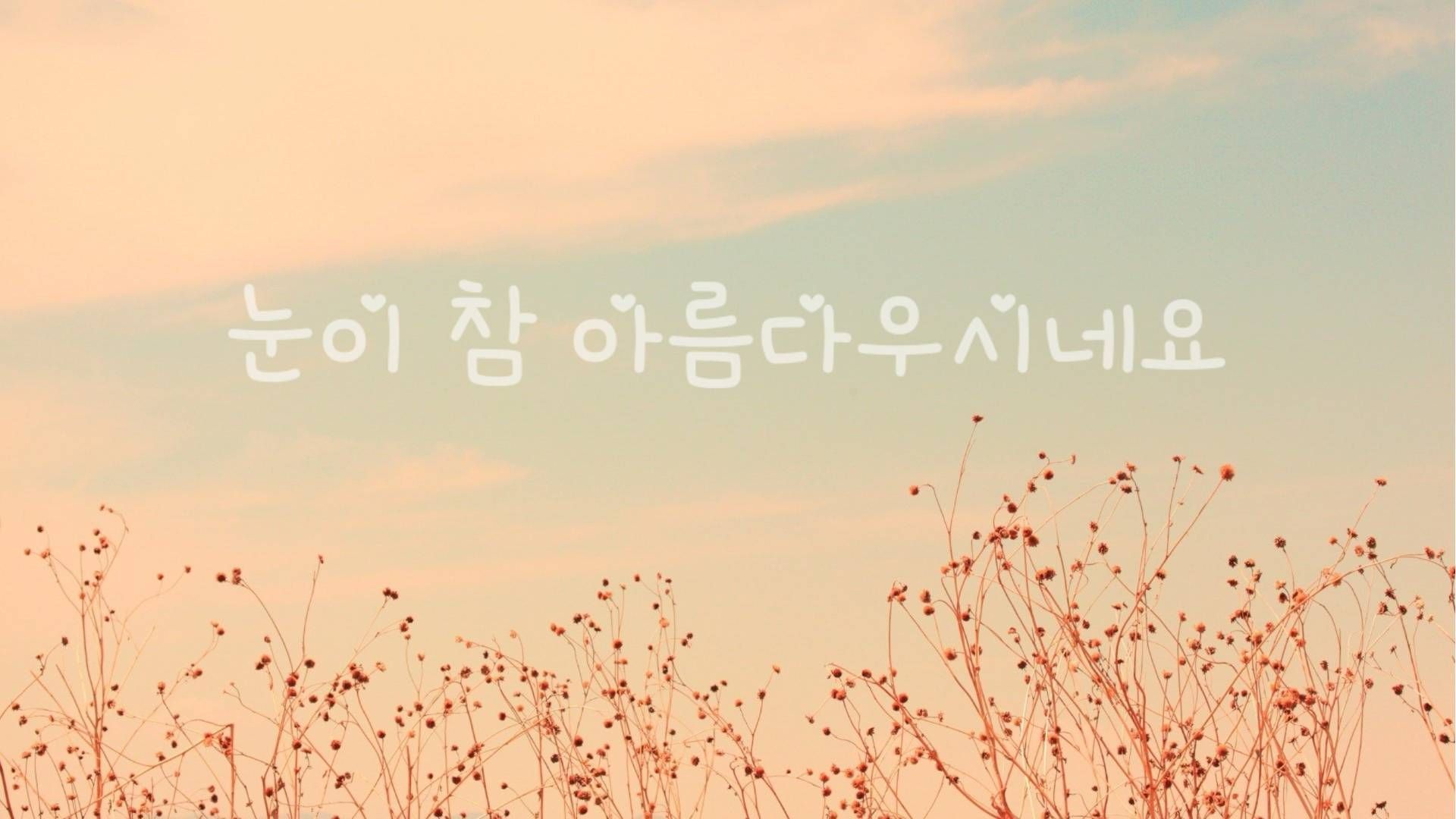A field of grass with some flowers and an asian language - Korean