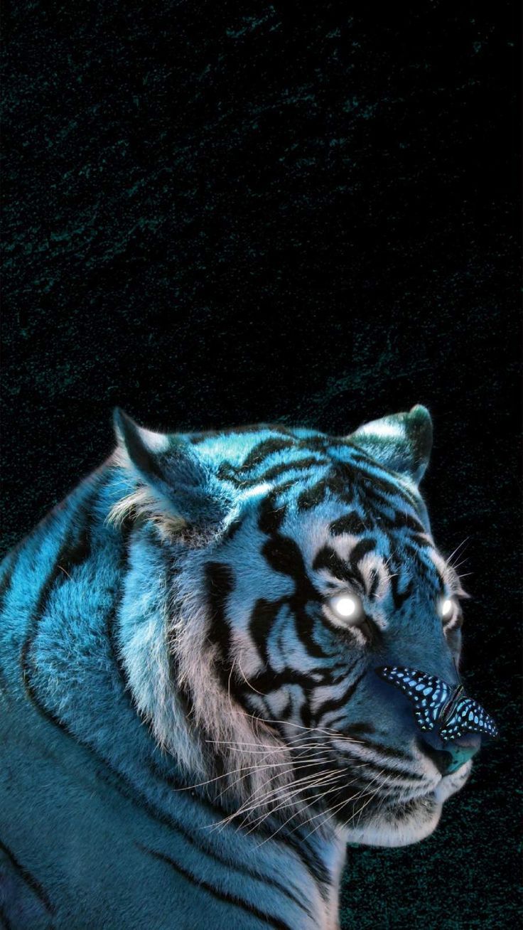 A tiger with blue eyes and lighting - Tiger