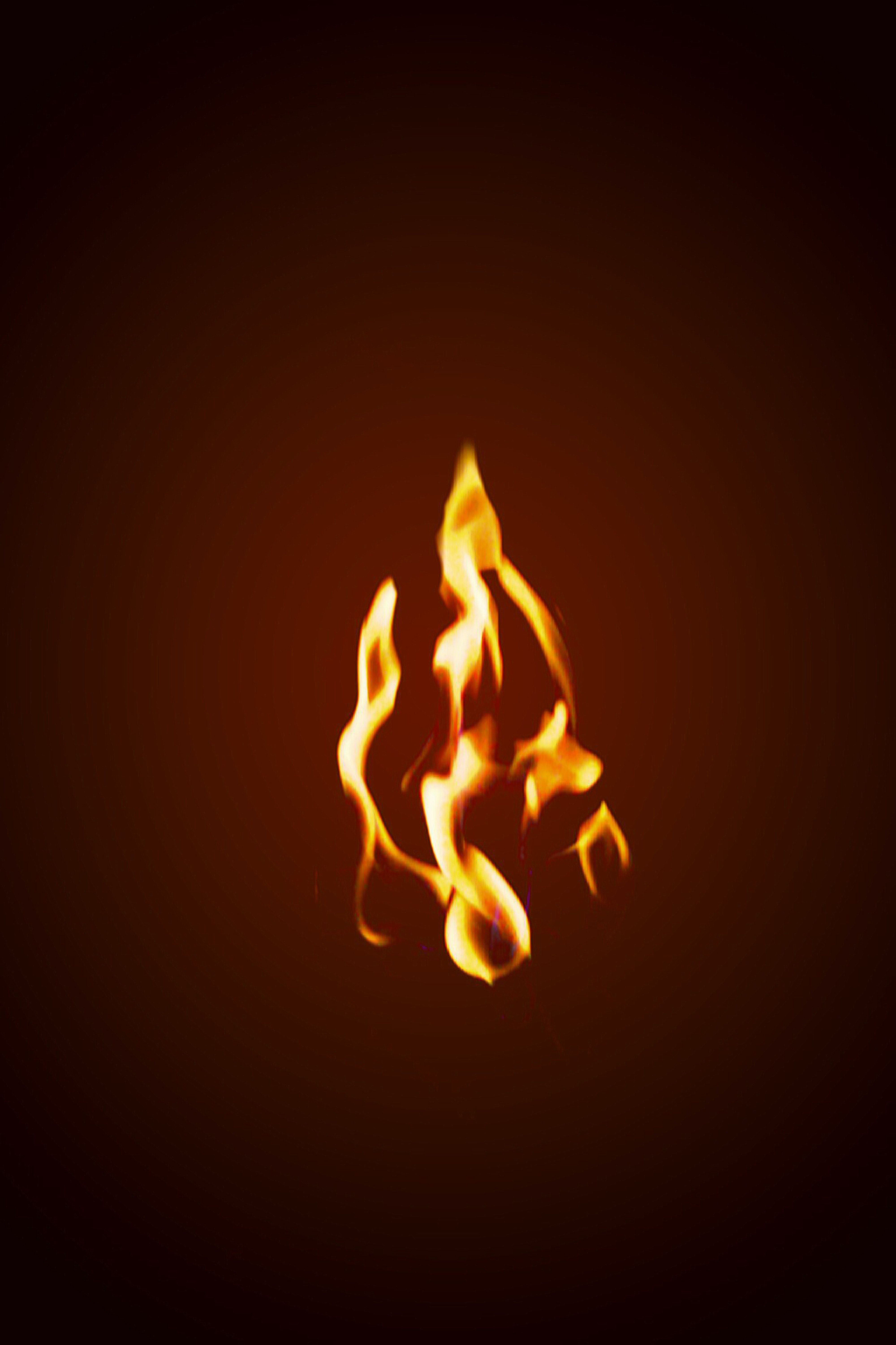 A fire is burning on the dark background - Flames
