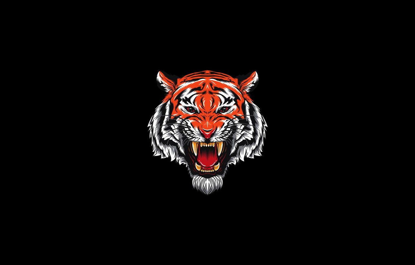 Wallpaper Minimalism, Tiger, Cat, Style, Head, Mouth, Background, Fangs, Face, Predator, Art, Art, Tiger, Predator, Style, Cat image for desktop, section минимализм