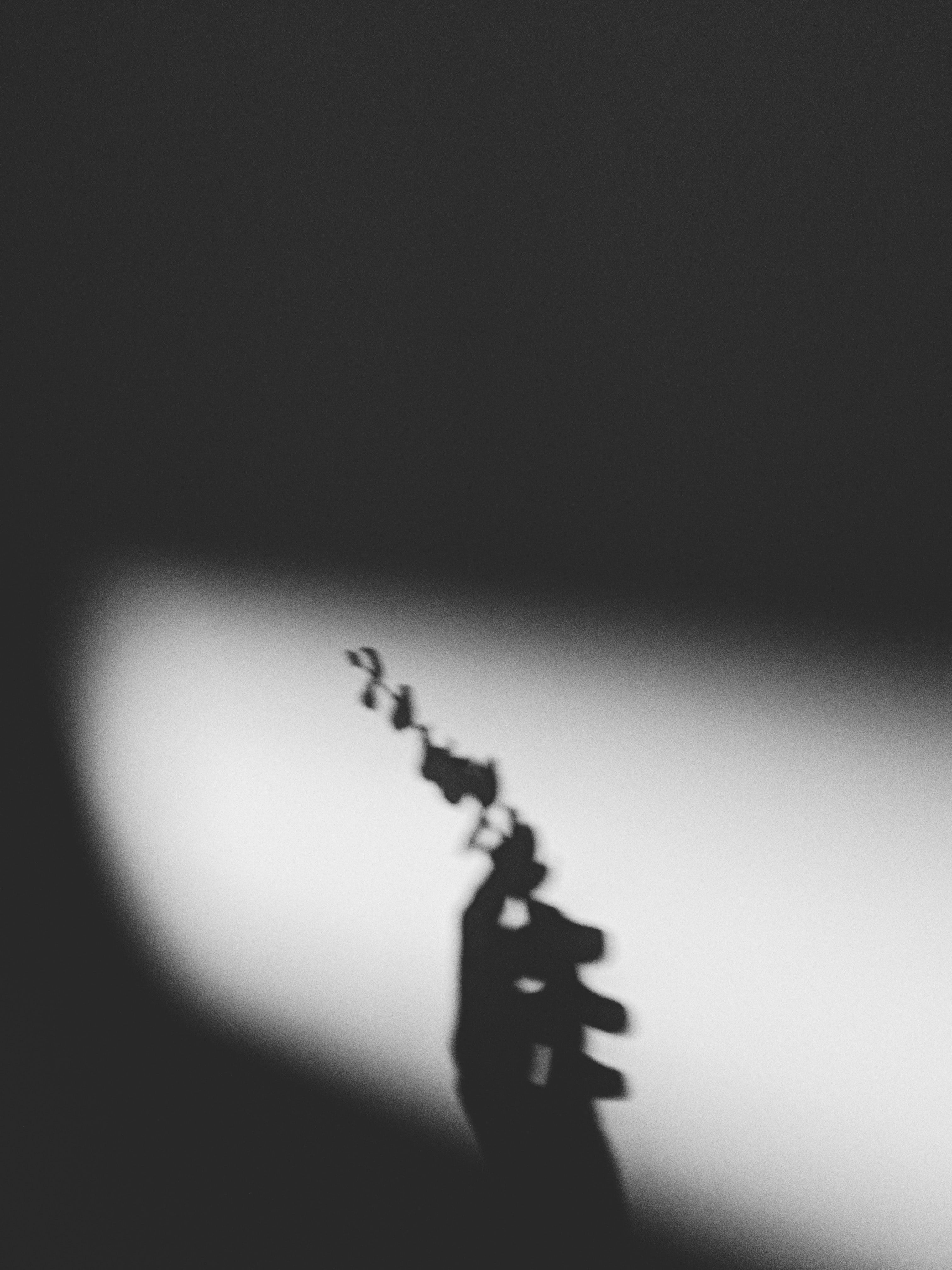 A black and white photo of a toy giraffe in a spotlight. - Shadow