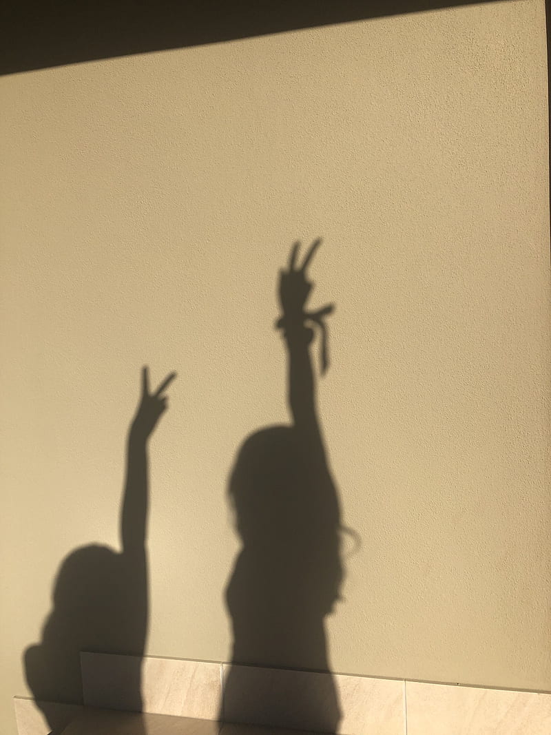 A shadow of two people with their hands up - Shadow