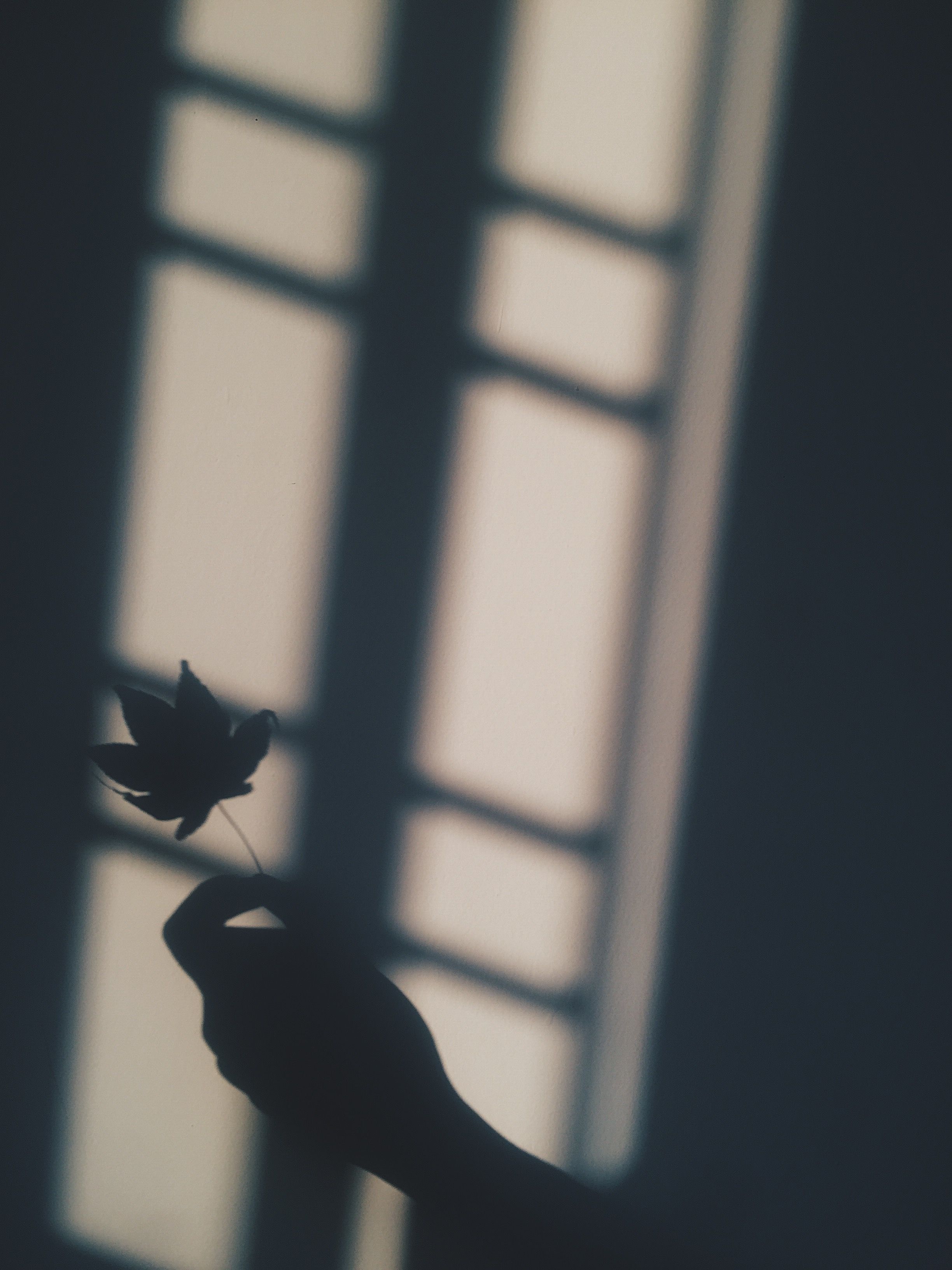 A person holding up an object in front of windows - Shadow