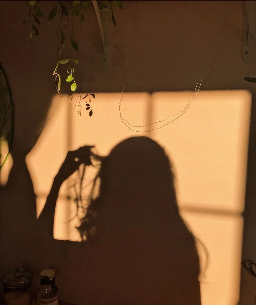 A shadow of a woman on a wall - Shadow