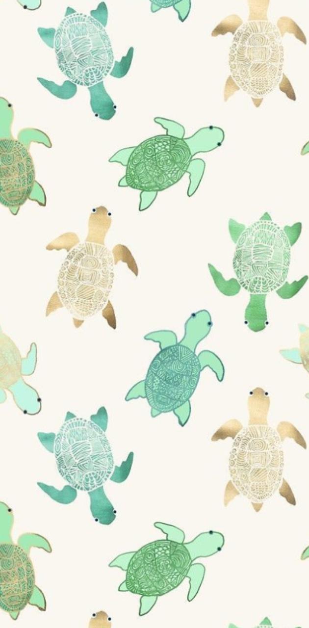 A pattern of turtles on white background - Sea turtle, turtle