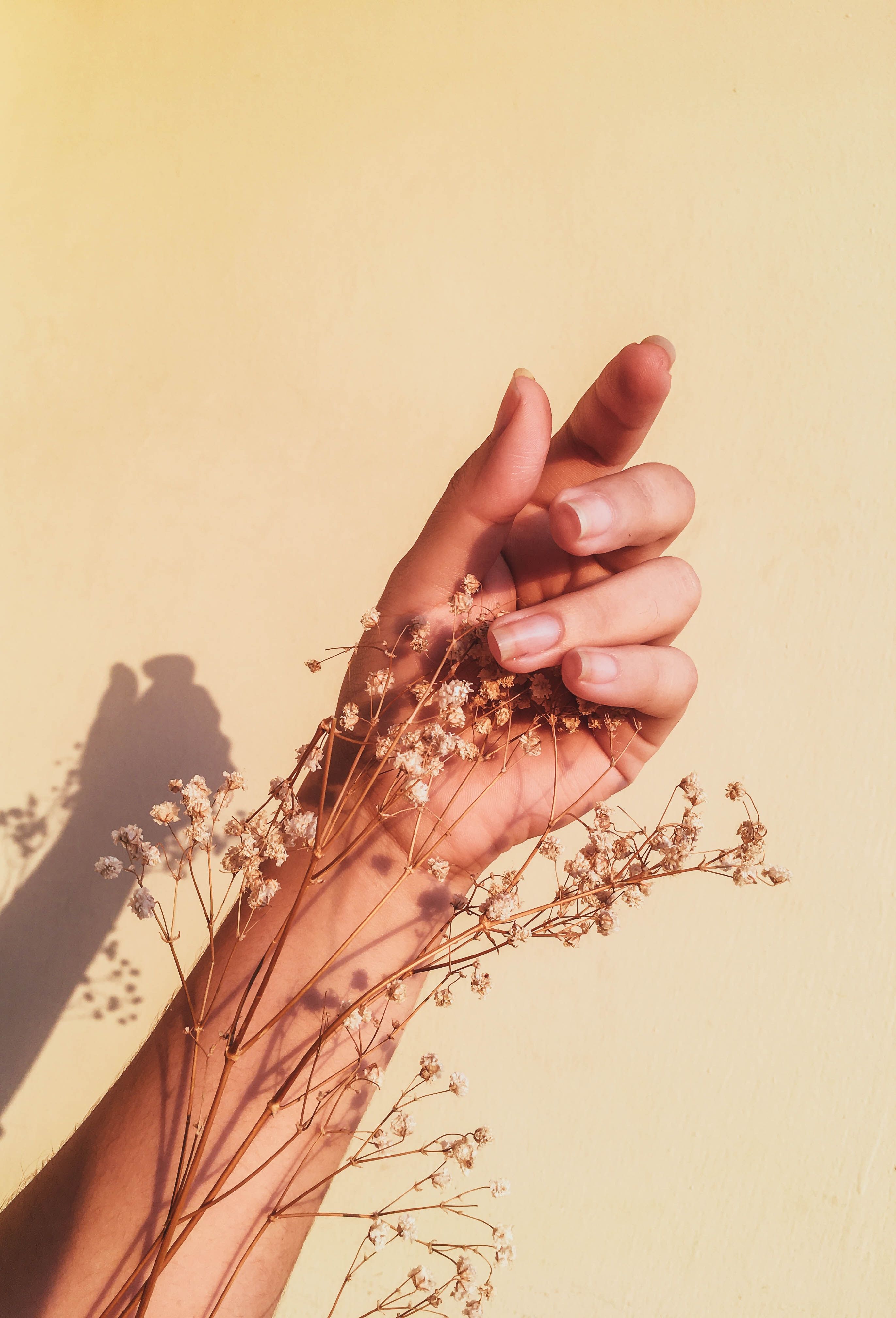 A hand holding some flowers in front of it - Shadow