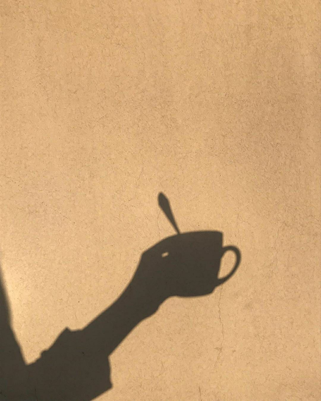 A shadow of someone holding something in their hand - Shadow