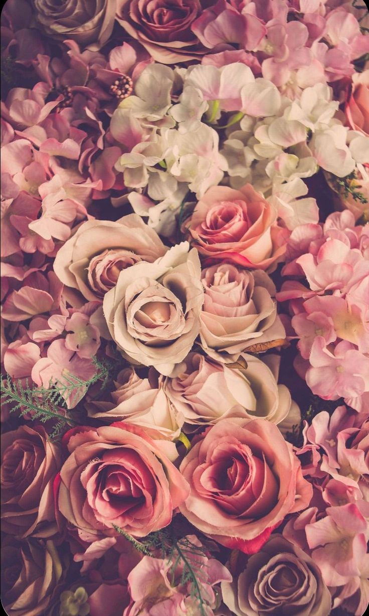 A bouquet of pink and white roses. - Wedding