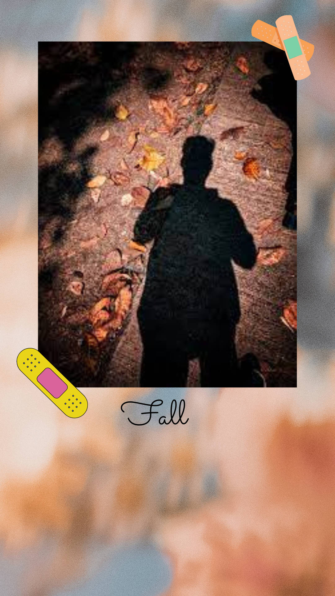 Download Fall Aesthetic Boy Shadow Selfie Wallpaper