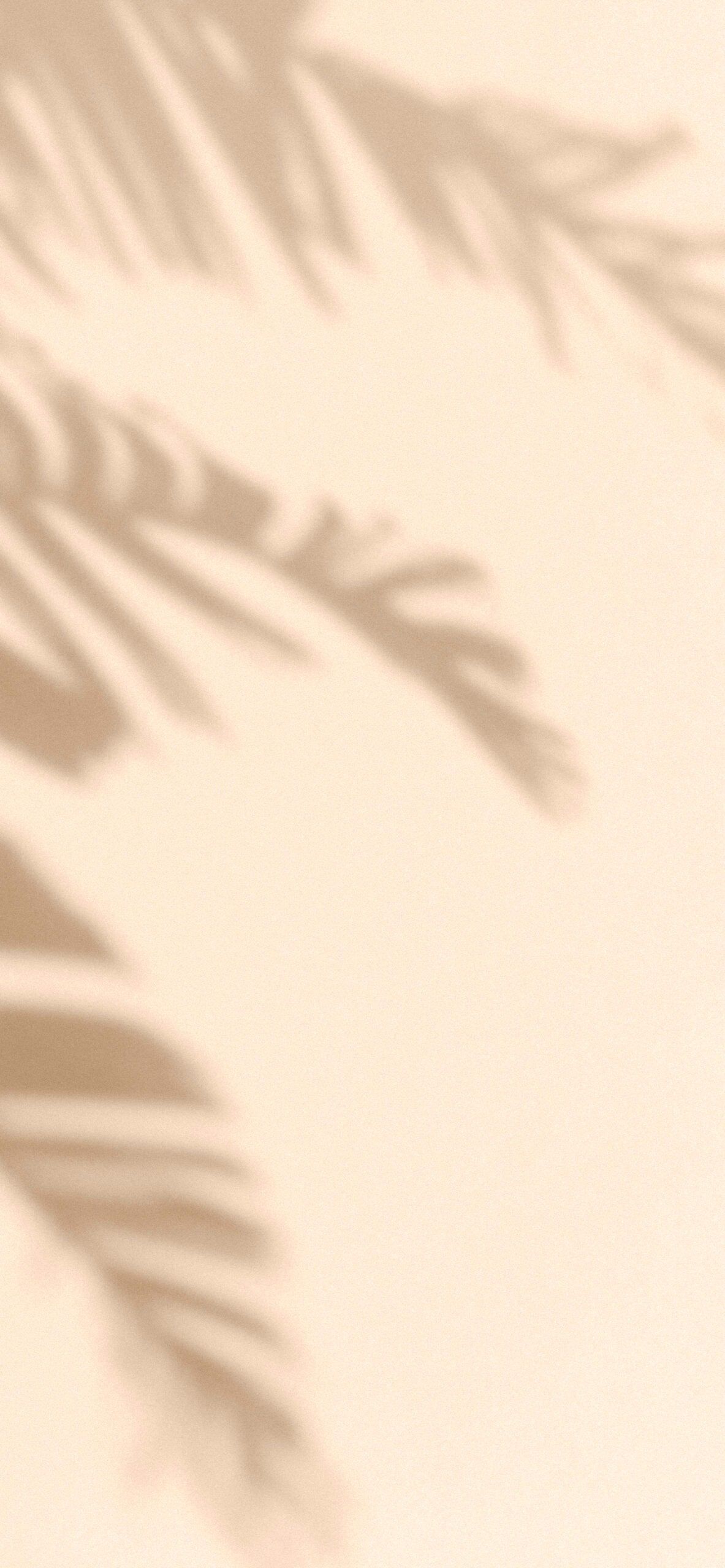 A light pink background with palm leaves - Shadow