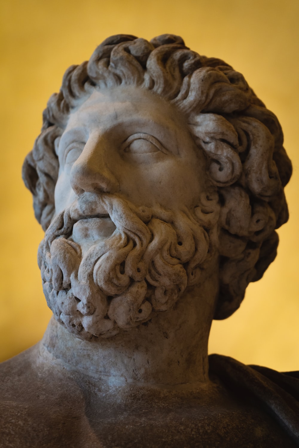 A sculpture of a man with a beard and curly hair. - Greek statue