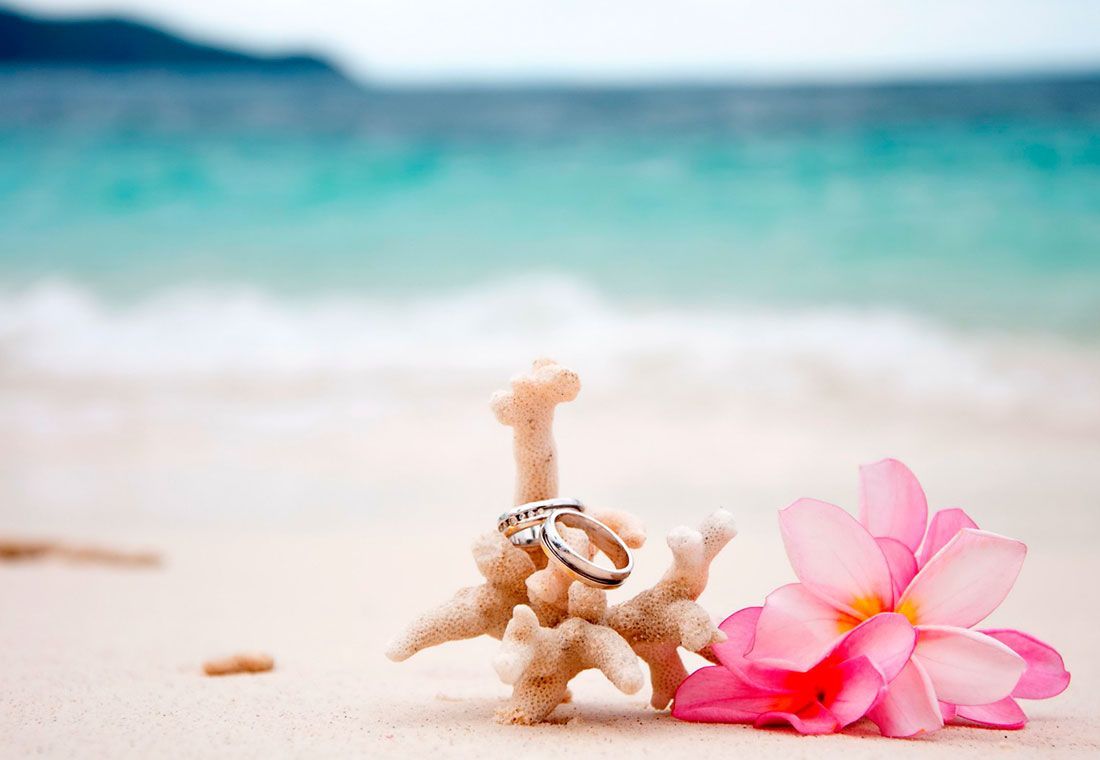 Wedding rings on a coral with a flower on the beach - Wedding