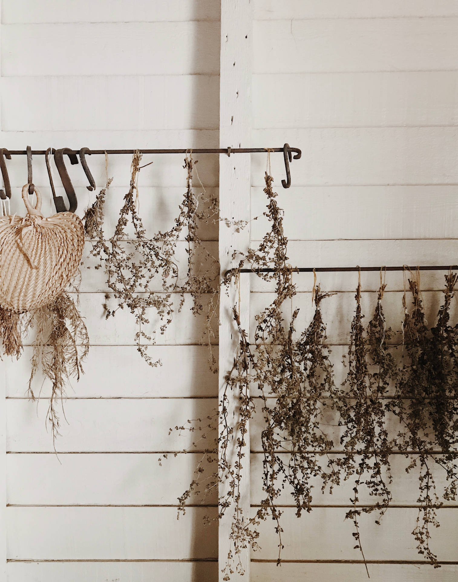 A wall with hanging clothes and plants - Wedding