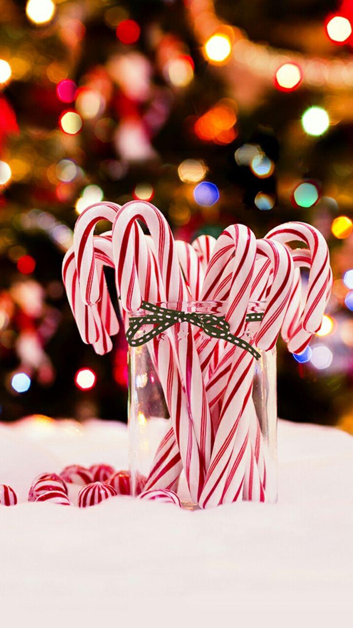 Christmas Aesthetic Candy Canes Wallpaper by jcxcvi