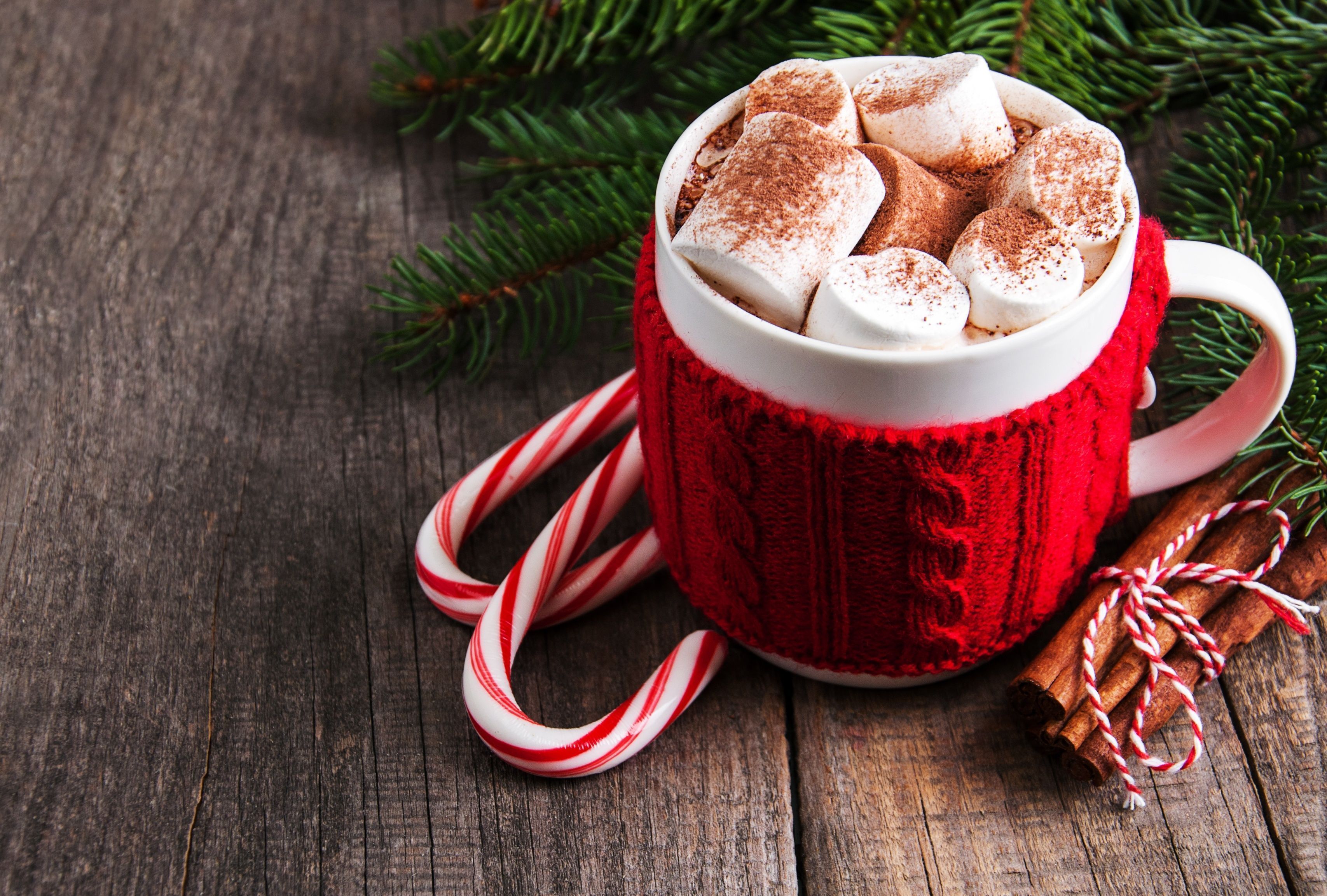 Hot Chocolate HD, Cup, Marshmallow, Candy Cane Gallery HD Wallpaper