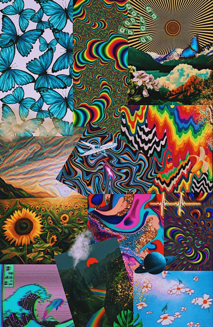 A collage of different colored pictures with butterflies - Trippy