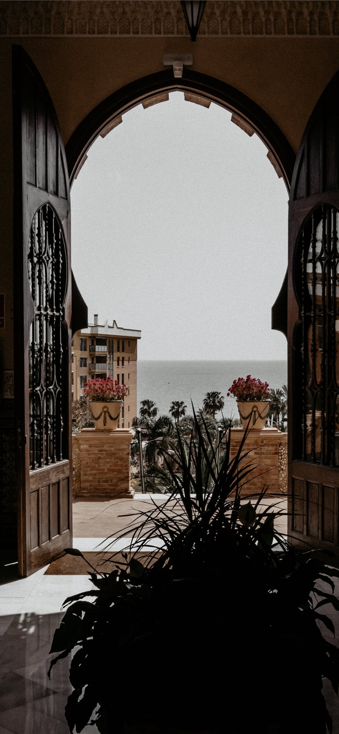 A view of the ocean through an open doorway with a potted plant in the foreground. - Architecture