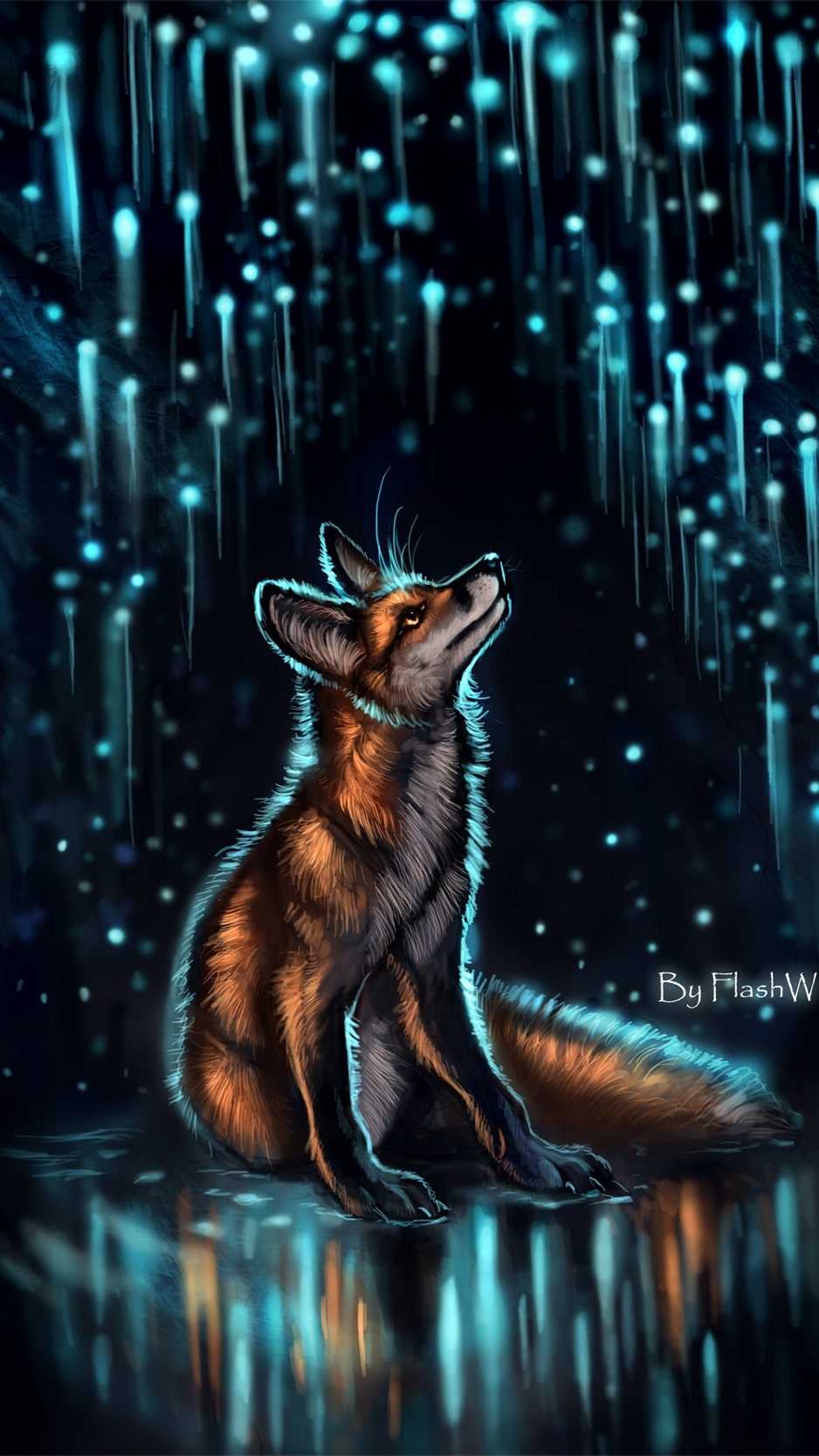 A fox in the rain by person - Fox