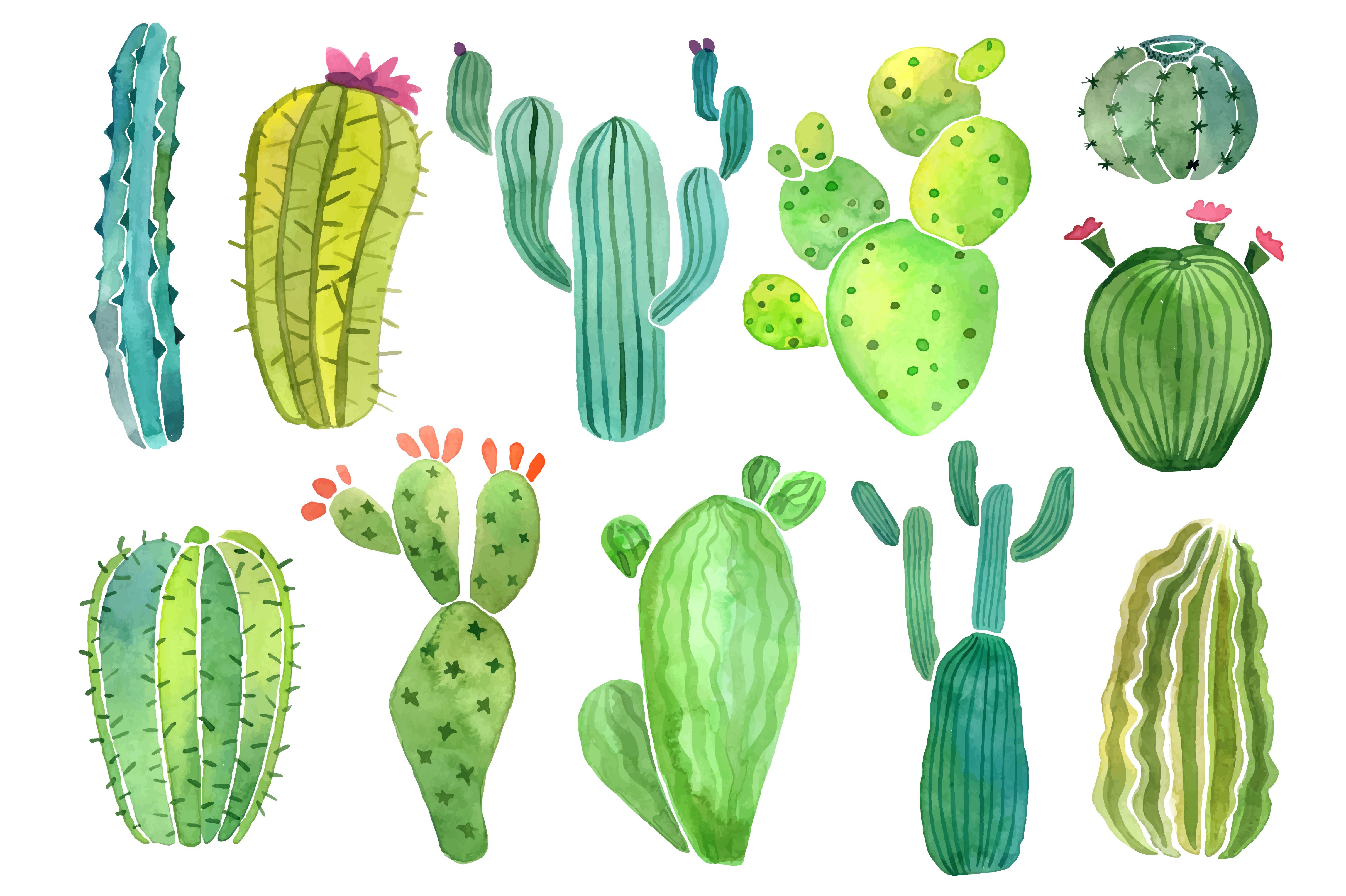 Watercolor illustration of different types of cacti and succulents - Cactus