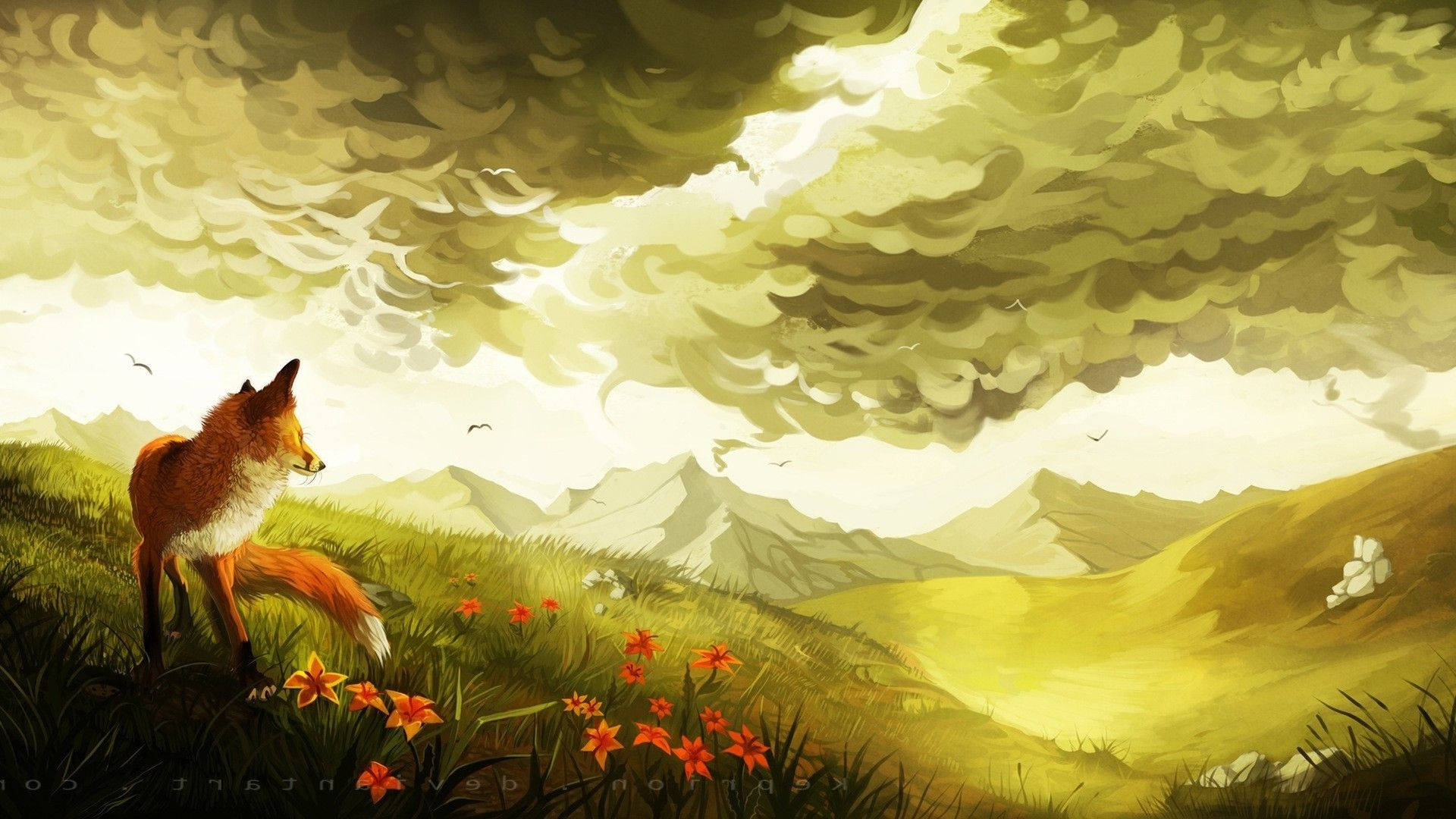 Fox in the meadow wallpaper 1920x1200 - Fox