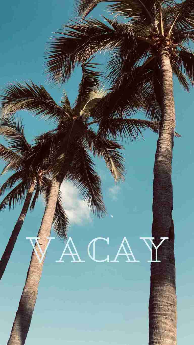 The word vacay in white text over a blue sky with palm trees. - Palm tree