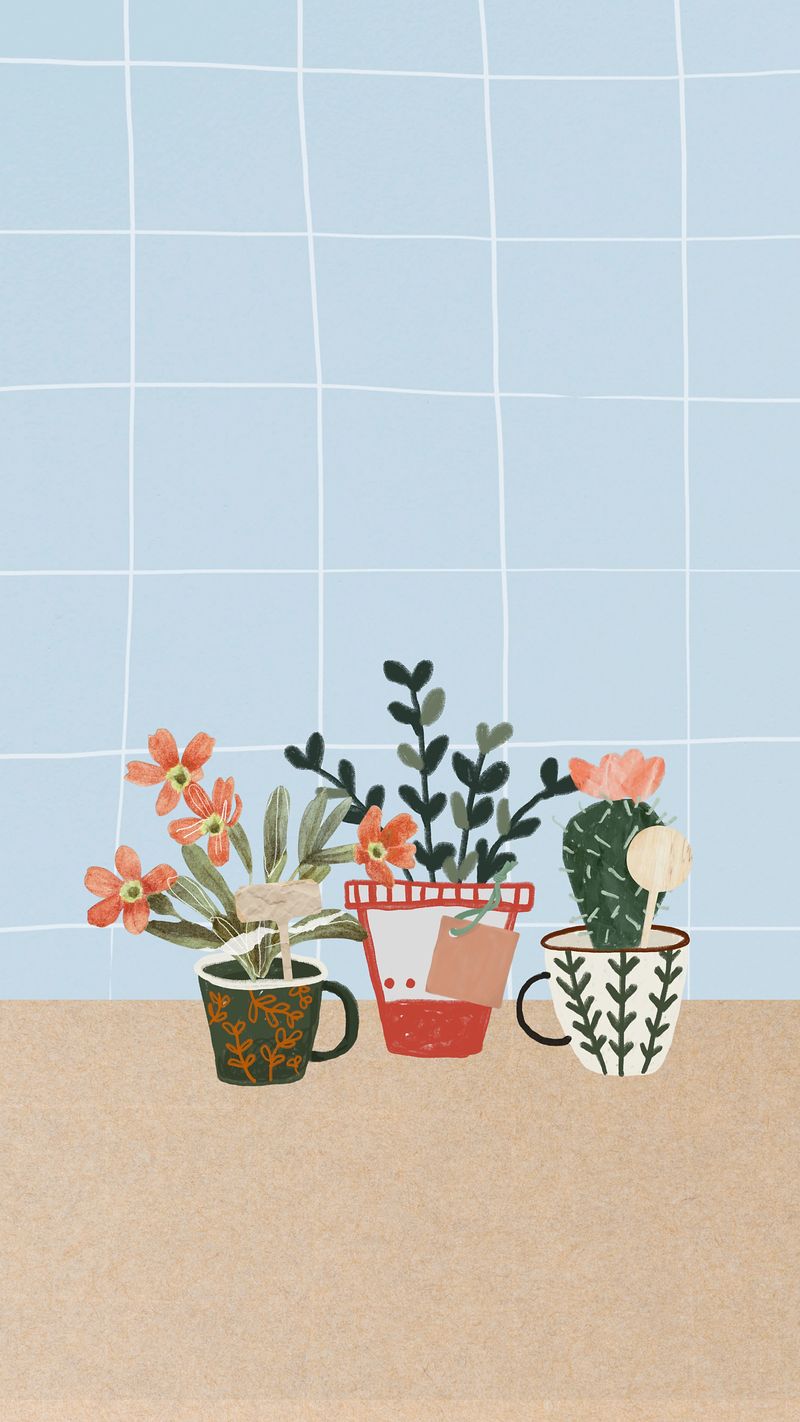 A picture of three cups with flowers in them - Plants