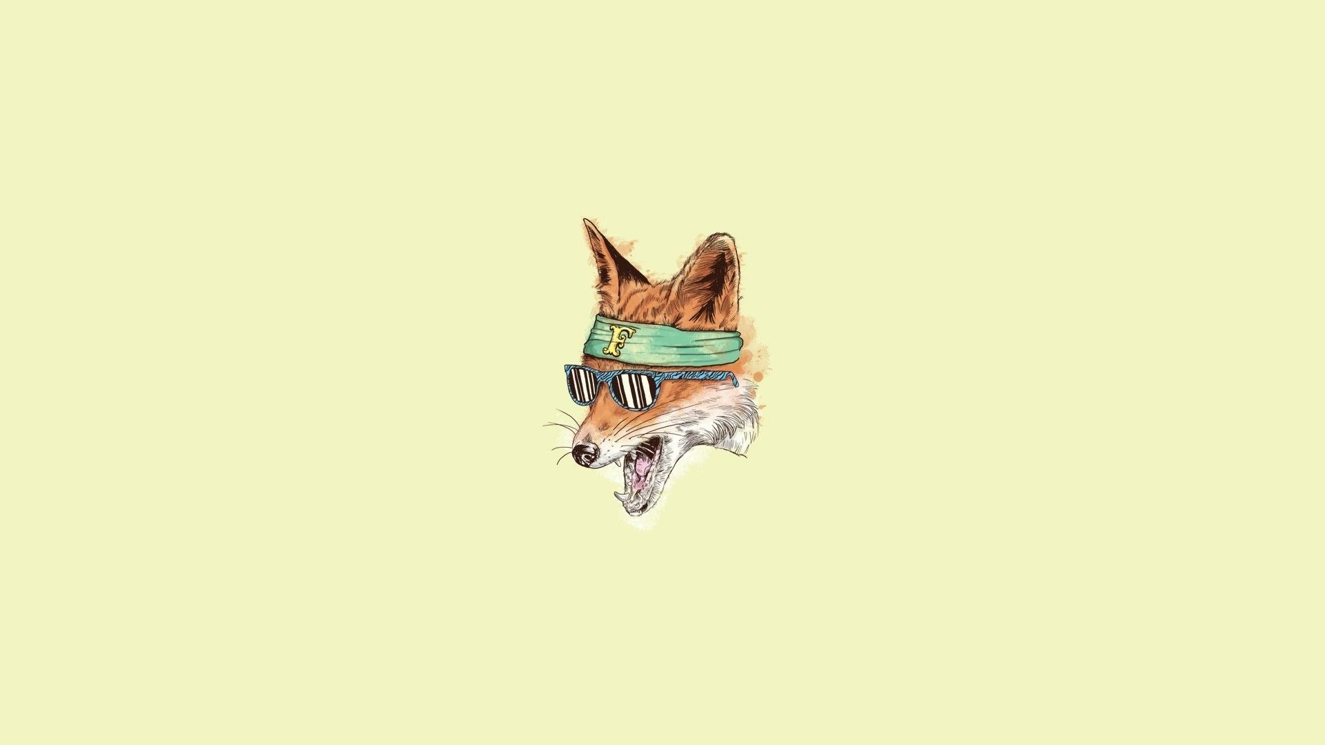 Fox with a bandana wallpaper 1920x1080 download - Fox