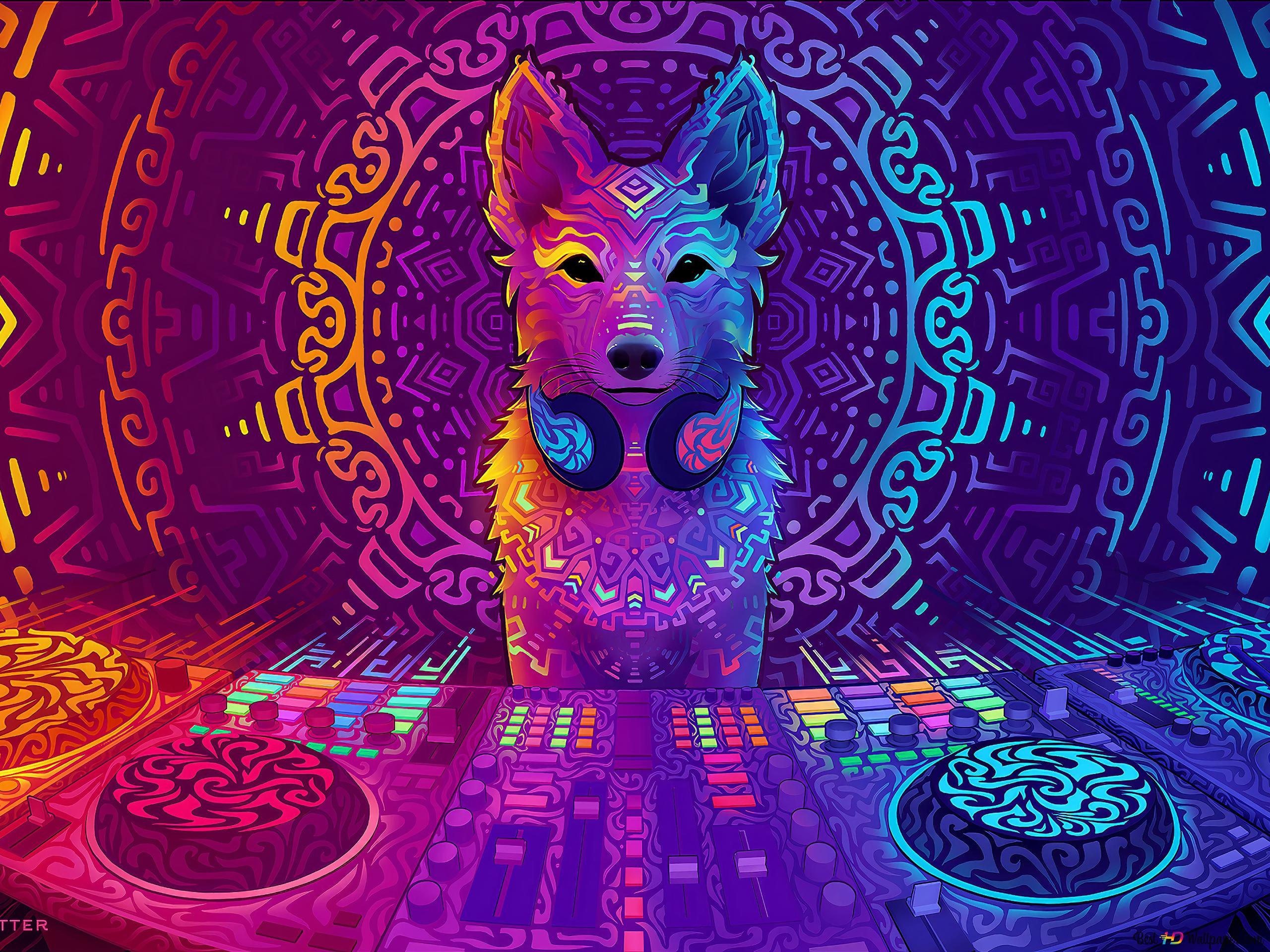 A dog in the middle of an electronic music studio - Fox