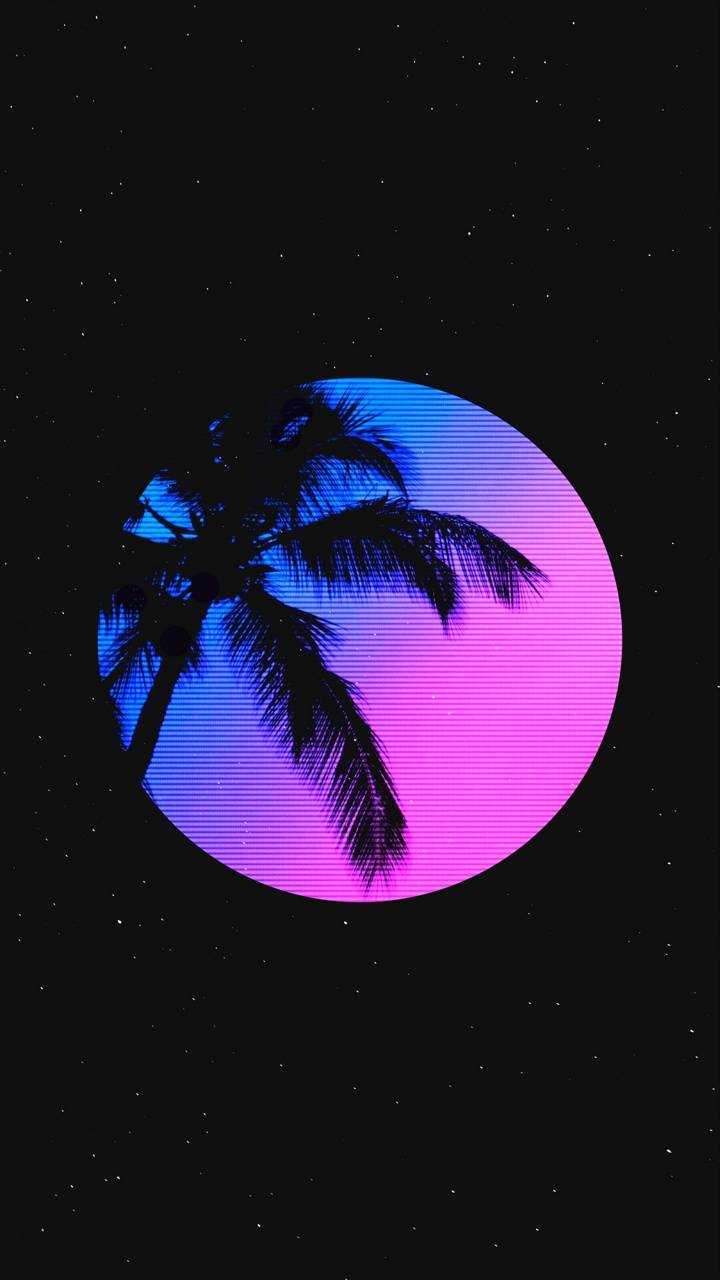 A palm tree in the sky with pink and purple clouds - Vaporwave