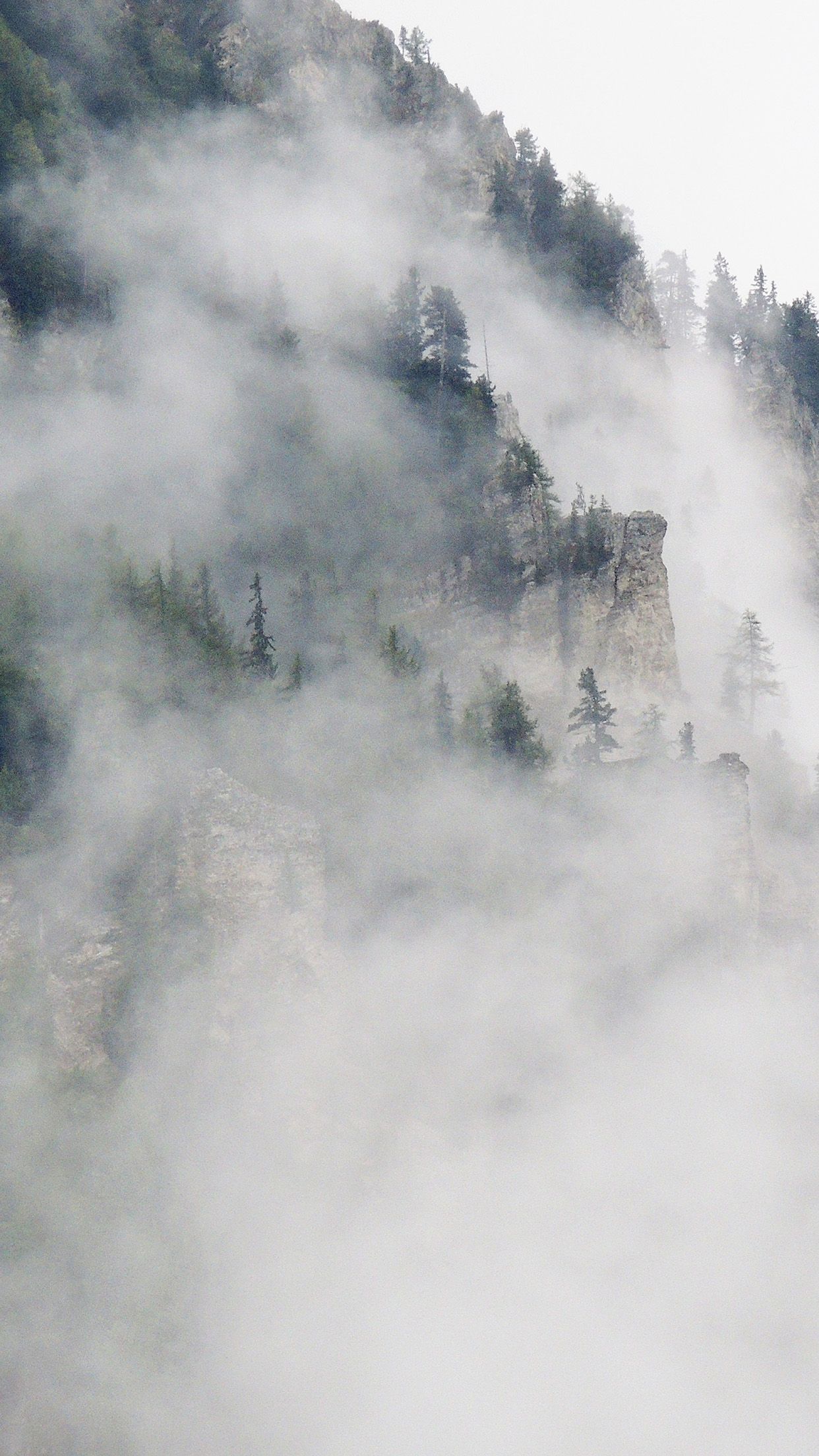 iPhone X wallpaper. nature mountain fog