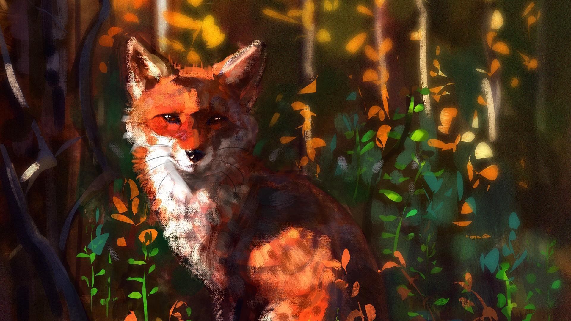 A fox in the woods by person - Fox