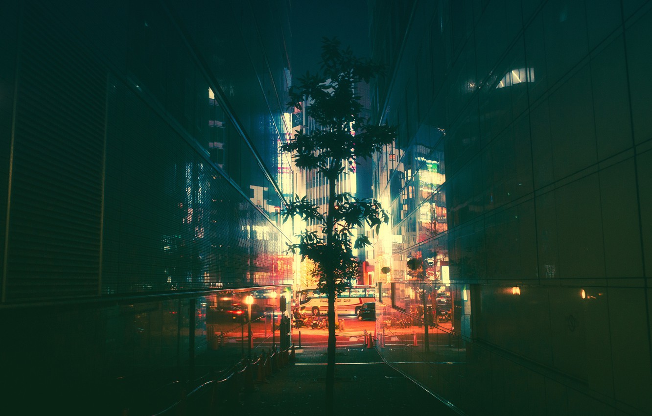 Wallpaper Tree, Night, The city, Light, Tokyo, Tokyo, Lane, Masashi Wakasa image for desktop, section город