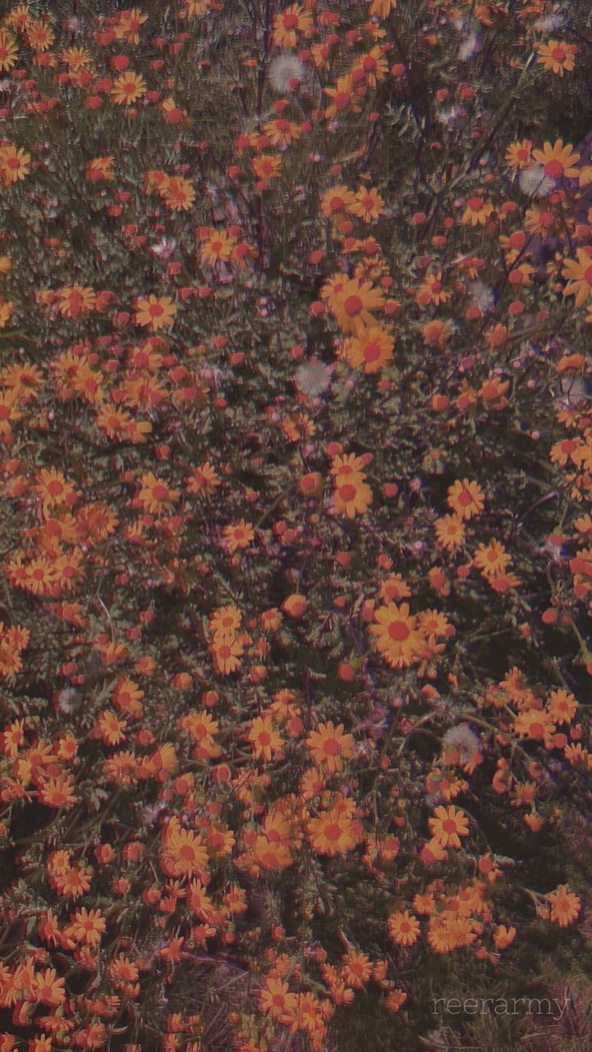 A field of orange flowers. - 90s, vintage fall